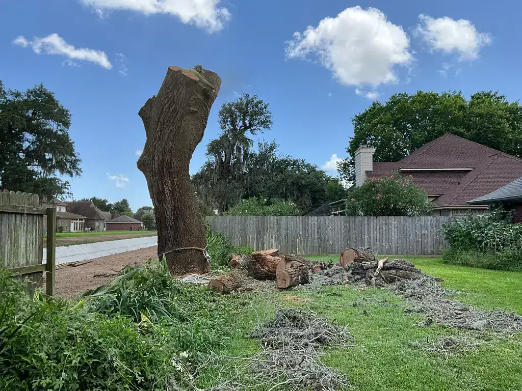 Freshly cut trunk stub and stacked logs in a Houston backyard after a removal