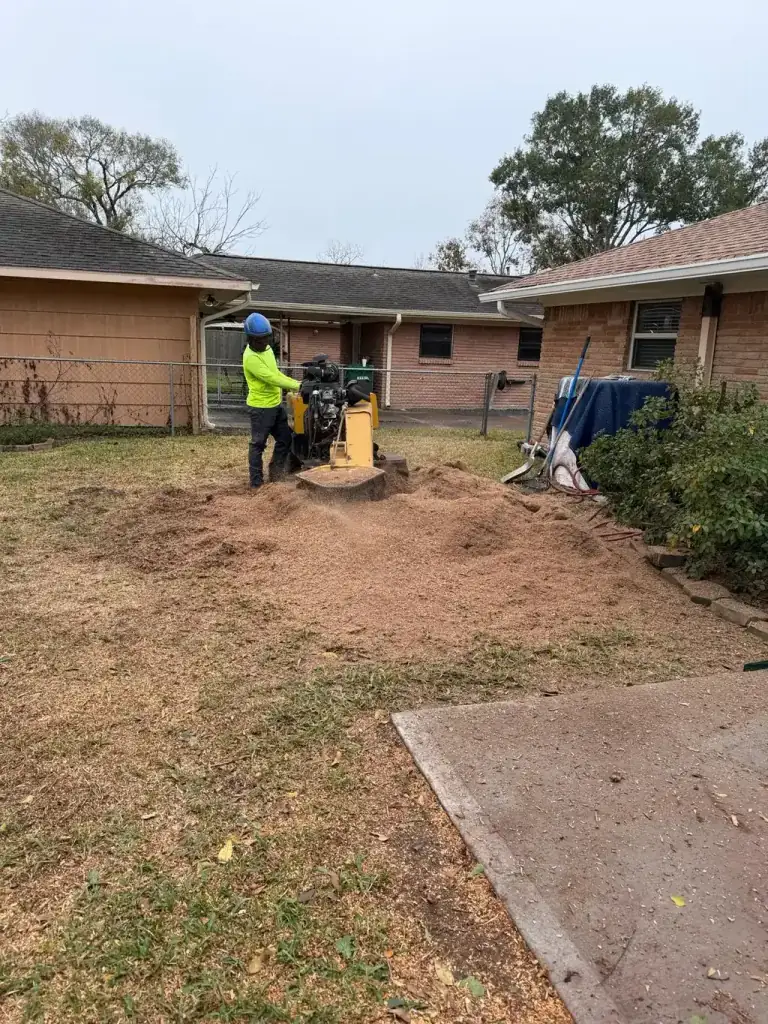 Stump grinder mid cut throwing wood chips in a residential Houston backyard